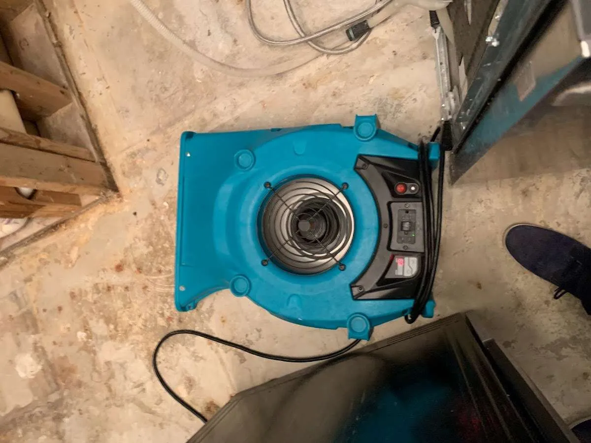 Air mover drying equipment for Mold Remediation & Removal in Lakeland North