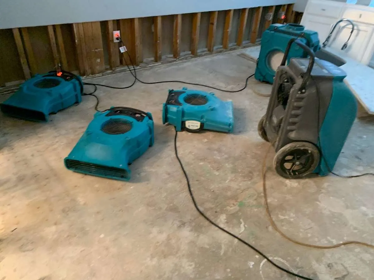 Water Damage Restoration services in Lakeland North, WA